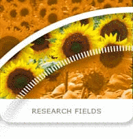 Research fields